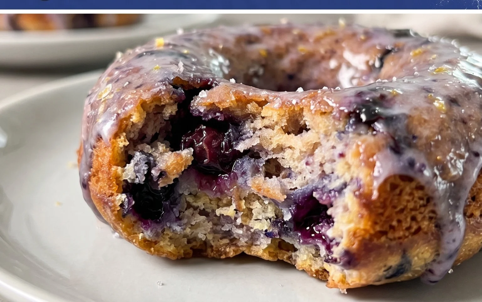 Wild Blueberry Cake Donuts